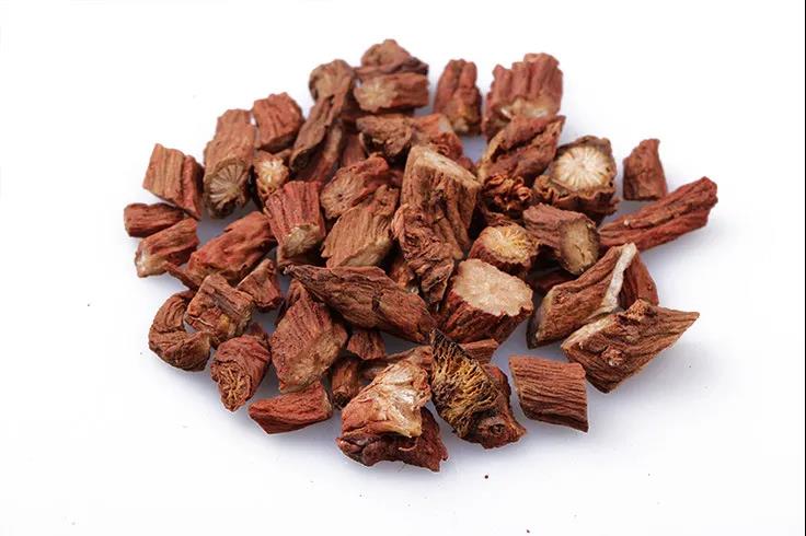 每天学习一味中药丹参,每天学习一味中药三七