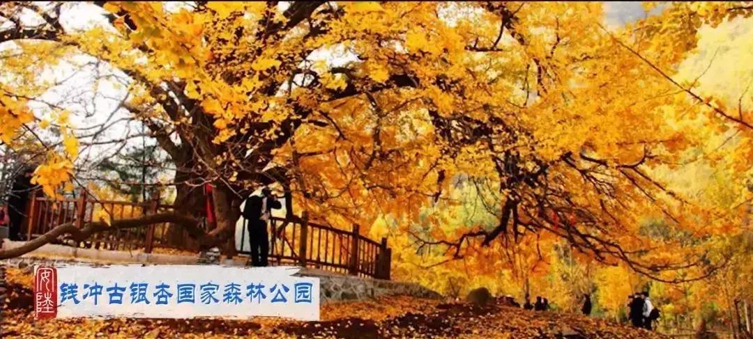 「“孝”感天下情润山水」安陆，一座让你流连忘返的城市！