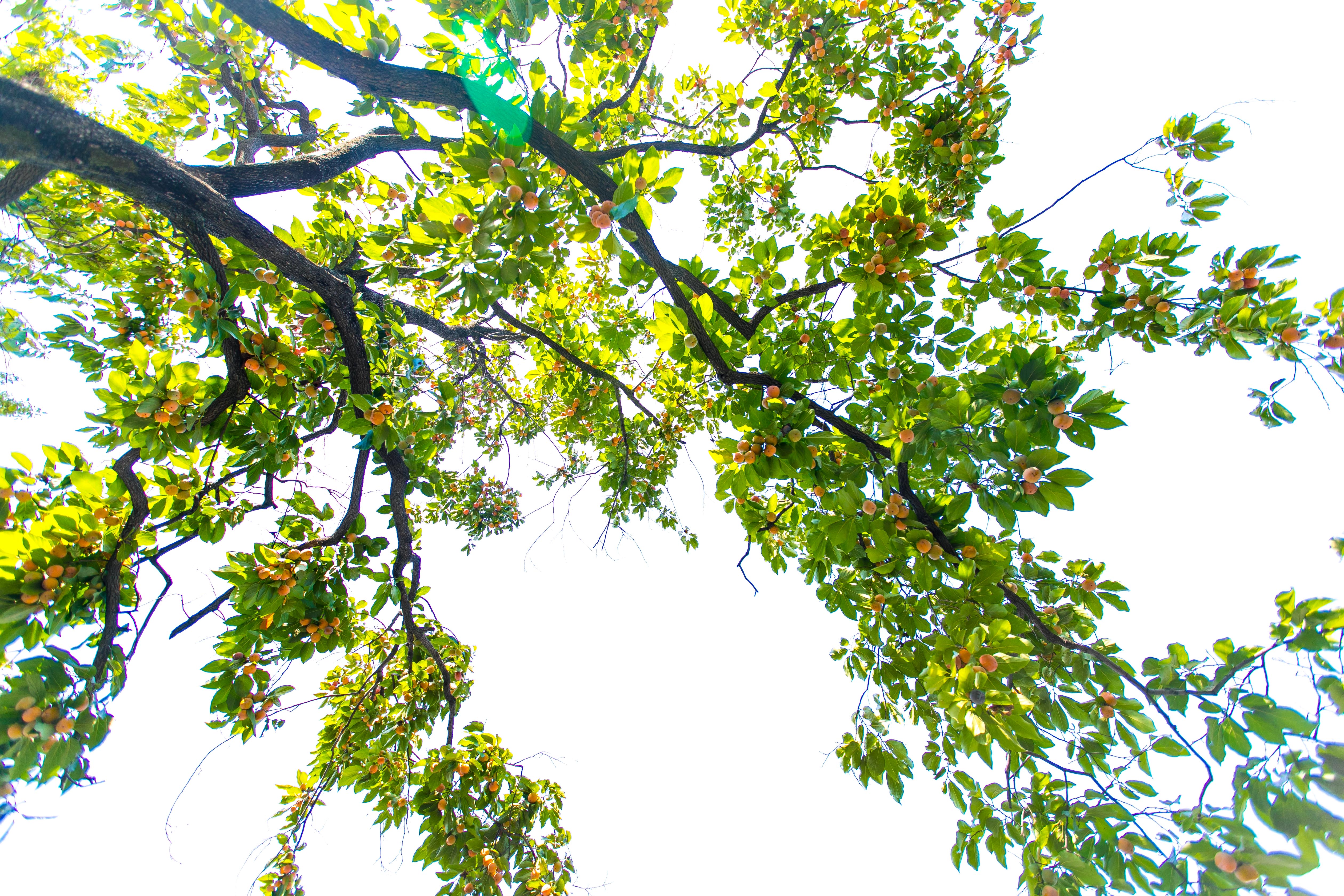 大山里面的现代风民宿,河南最值得住的山区民宿