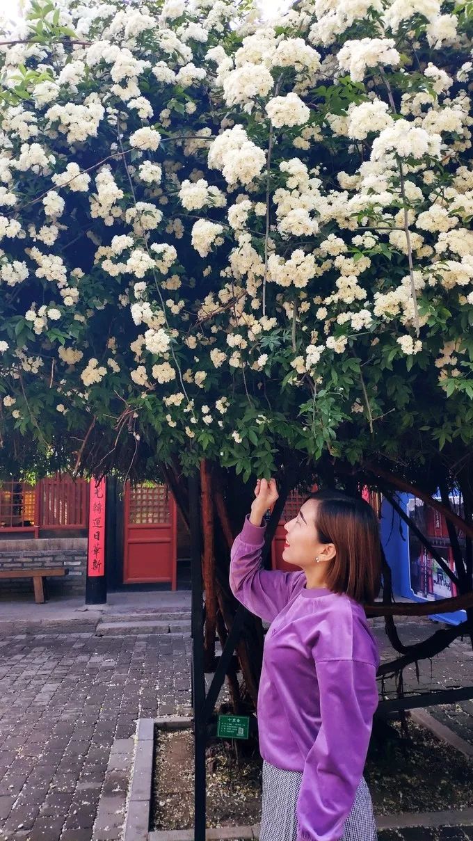 会两个萌,老妹,阿子,姨暴走一天半的曲阜*安泰**之旅