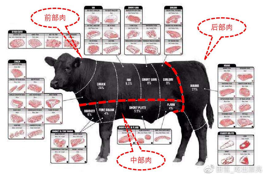 牛肉先锋|挑选好牛肉的锦囊妙计，“庖丁解牛”了解一下