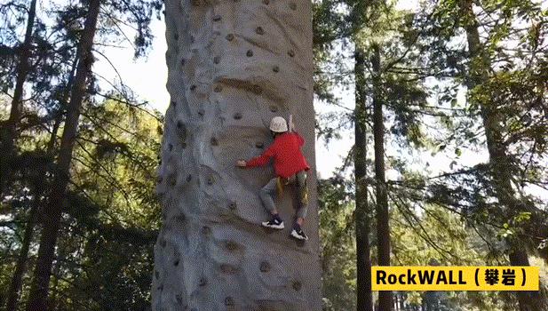 美国夏令营葡萄籽,国际游学夏令营美国