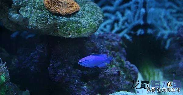 说出来都是泪！只有新下海的人才能体会这种痛，简直是全军覆灭