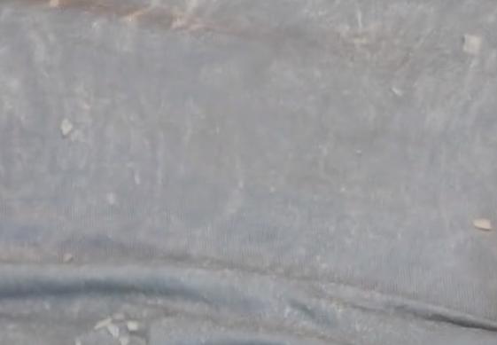 如何去除床单上顽固血渍,床单上的新鲜血渍怎样快速清除