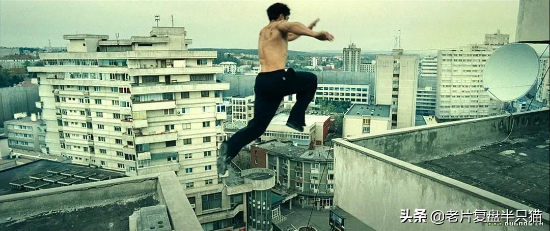 十部必看的经典电影战狼,战狼十大经典电影