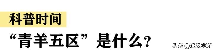 @成都家长，对口全好初中！解密！小升初青羊五区炙手可热的原因