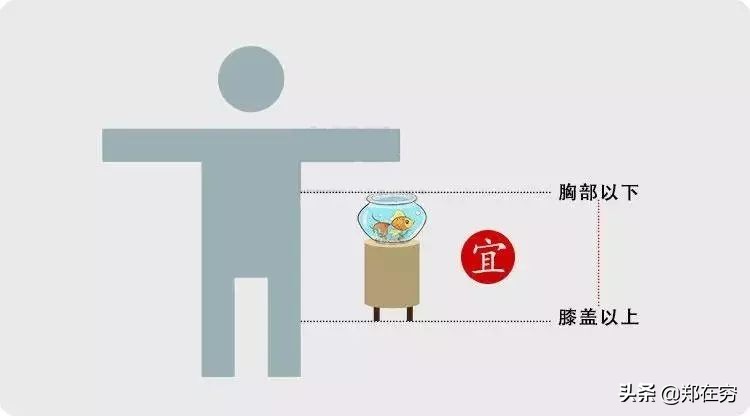 鱼缸摆放位置风水讲究图解大全,鱼缸摆放风水几点讲究