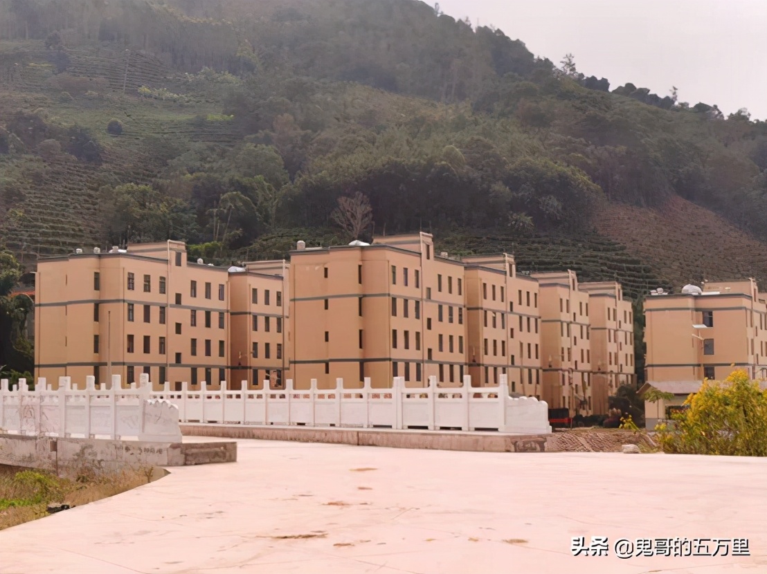 鬼哥的五万里D98骑记：树包塔包的是什么？（按板镇-景谷县）