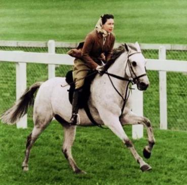 贵族娃都爱骑马？4岁夏洛特公主想要小马当圣诞礼物，乔治爱踢球