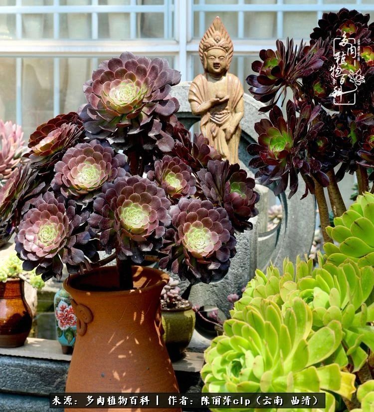 佛系看风景的地方,佛系风景空境视频