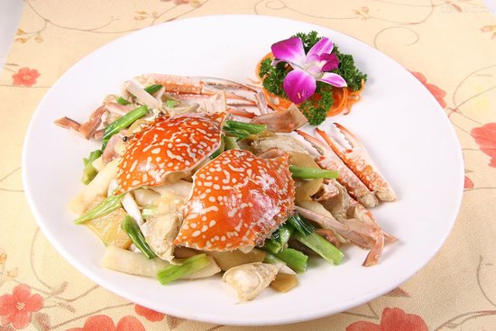 史上最全面的海鲜大咖,史上最全海鲜视频