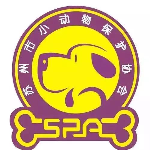 炸裂！因为一只猫，苏州人开启尖叫模式！