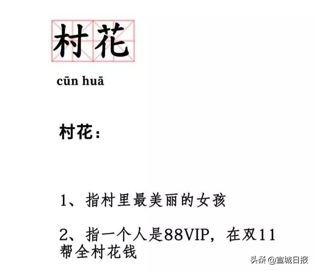 七亿人都买不过的宣城“村花”，今年双十一花了这么多钱