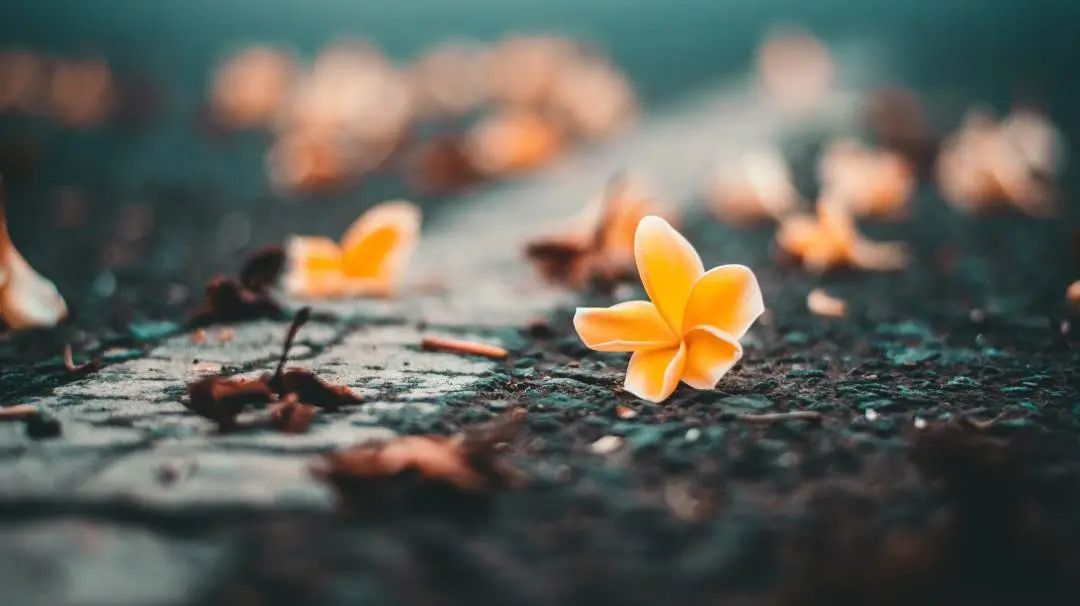 气出来的子宫肌瘤,气出来的乳腺结节会消吗