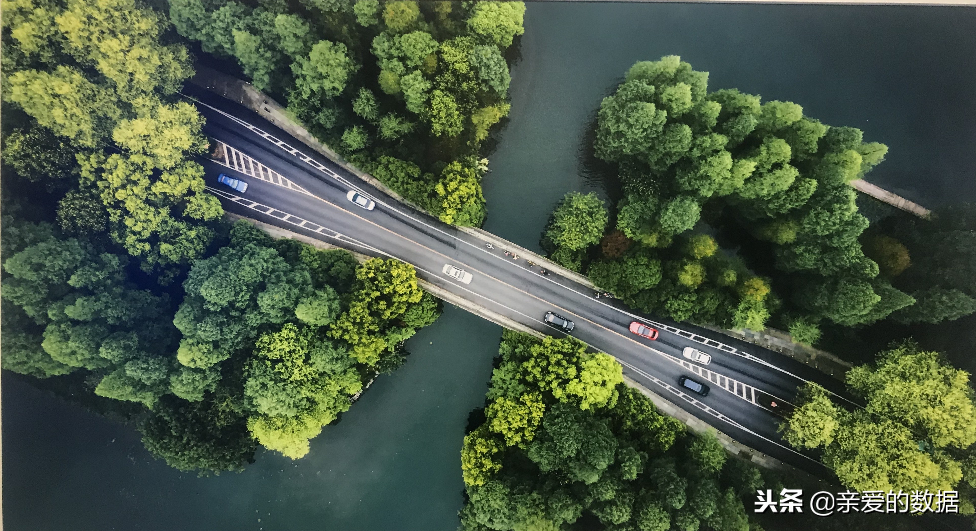 疑似途歌公司就剩几盆花，首汽GoFun却很好，共享汽车走到尽头？