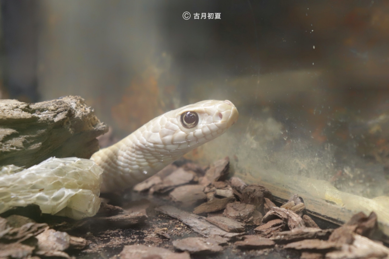 厦门科技馆游玩攻略2-3岁儿童,厦门科技馆每一个馆只能玩一次吗