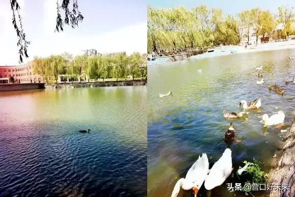 沈师复试通知,沈师现在让进吗