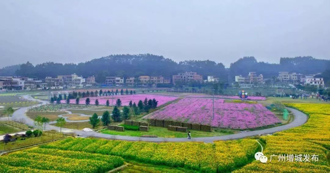 广州隐藏着一个碉楼村,广州有哪些隐藏的景点