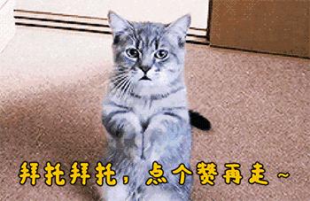 老师教学生用肯定造句搞笑,幼儿园老师搞笑回答家长问题