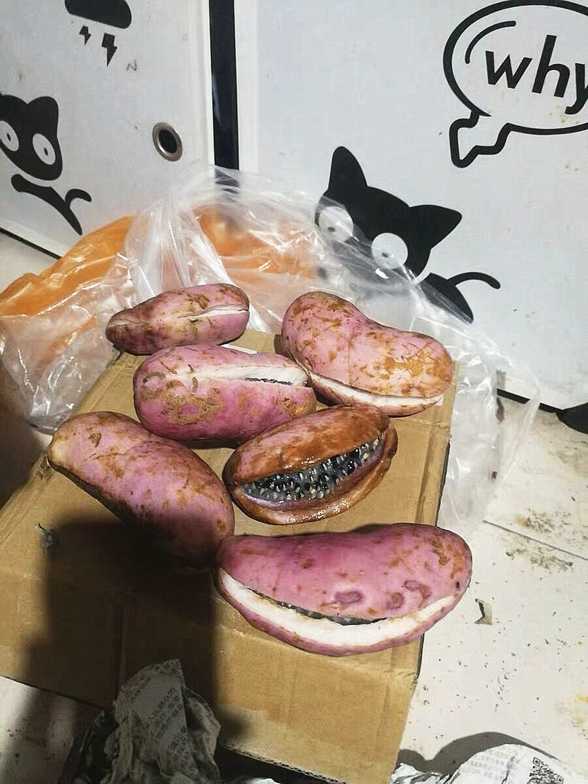 会开裂的水果,成熟会爆开的果子