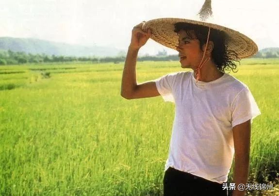 迈克尔杰克逊逝世11周年纪念日,纪念迈克尔杰克逊逝世14周年