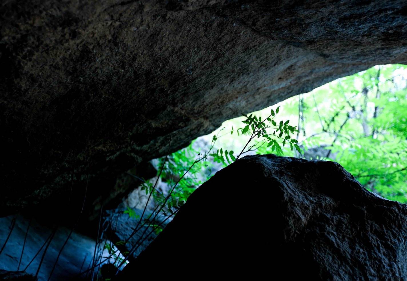 关于春草诗词,关于春草的诗句大全简单