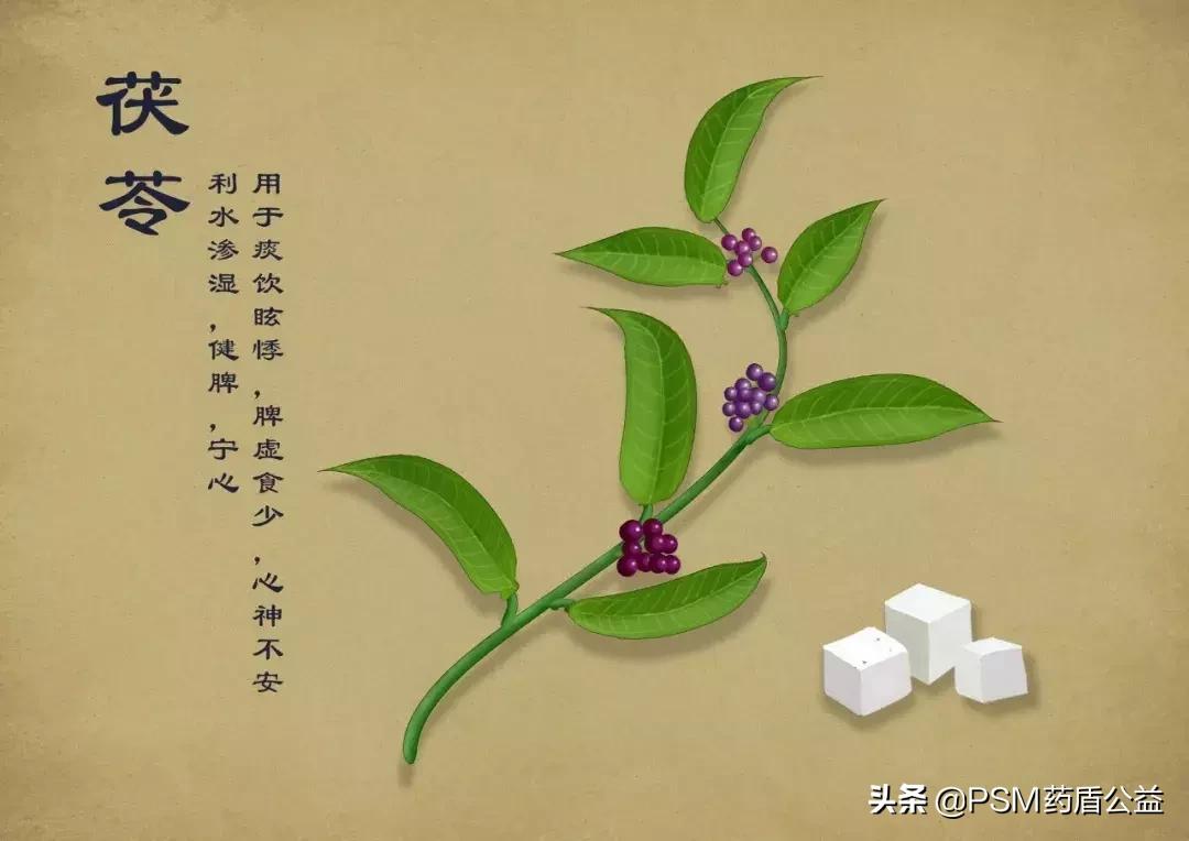 春暖花开手绘视频,春暖花开中药贴画