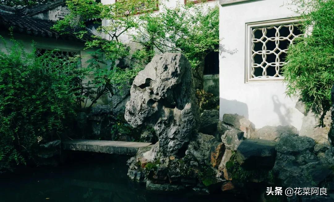 留园拙政园哪个风景好,留园和拙政园