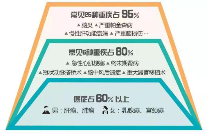 从入门到理赔,从入门到入土好不好