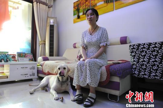 导盲犬带主人去景区被拒绝,上过央视的导盲犬被公交司机拒载