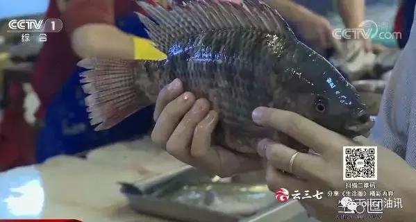 炸锅的油怎么可以不起泡沫,为什么油炸时油锅里全是泡沫