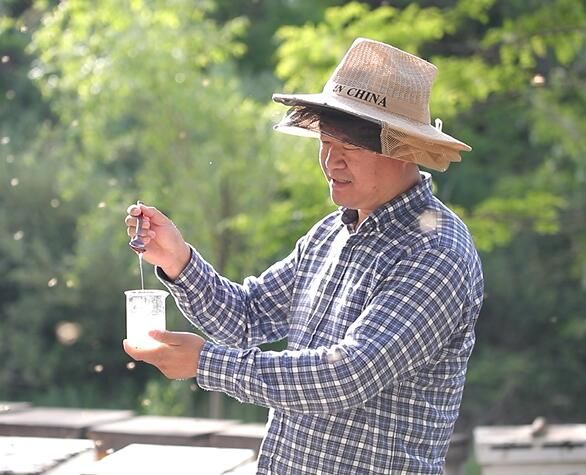 香蕉蜂蜜面膜怎么做能祛斑,香蕉蜂蜜面膜怎么做