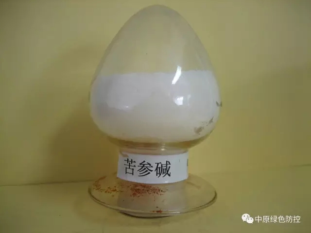 生物碱性杀虫剂,农药苦参碱的杀虫范围