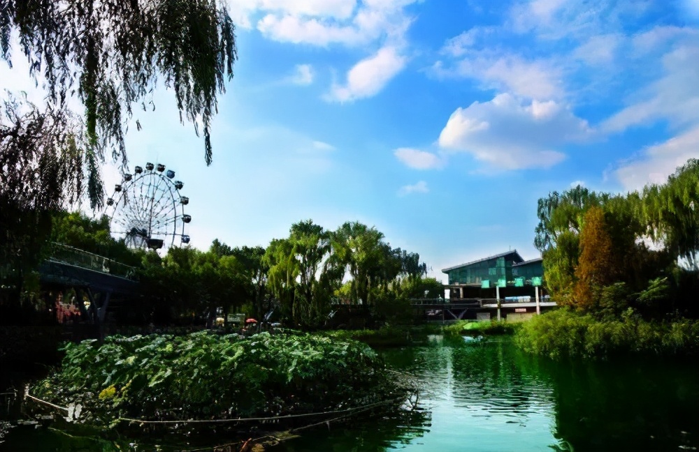 济南免费遛娃的地方,济南市十一带娃游玩好去处