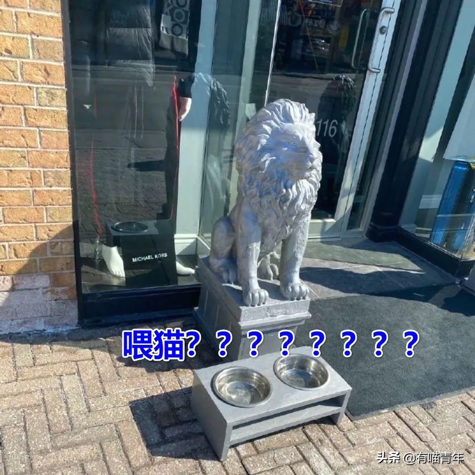 北大石狮子绝育事件,北大石狮子修复了吗