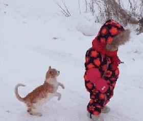 有一匹马不会动了是怎么回事,有一匹马不会动是怎么回事