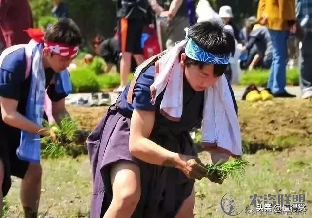 “变态”的日本农业：超前思维，敬畏自然，死磕单品