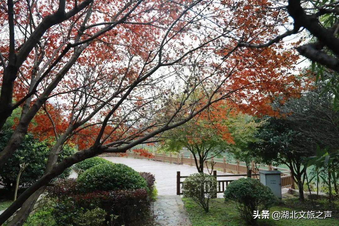 清明踏青，去悦兮半岛寻找春天的快乐