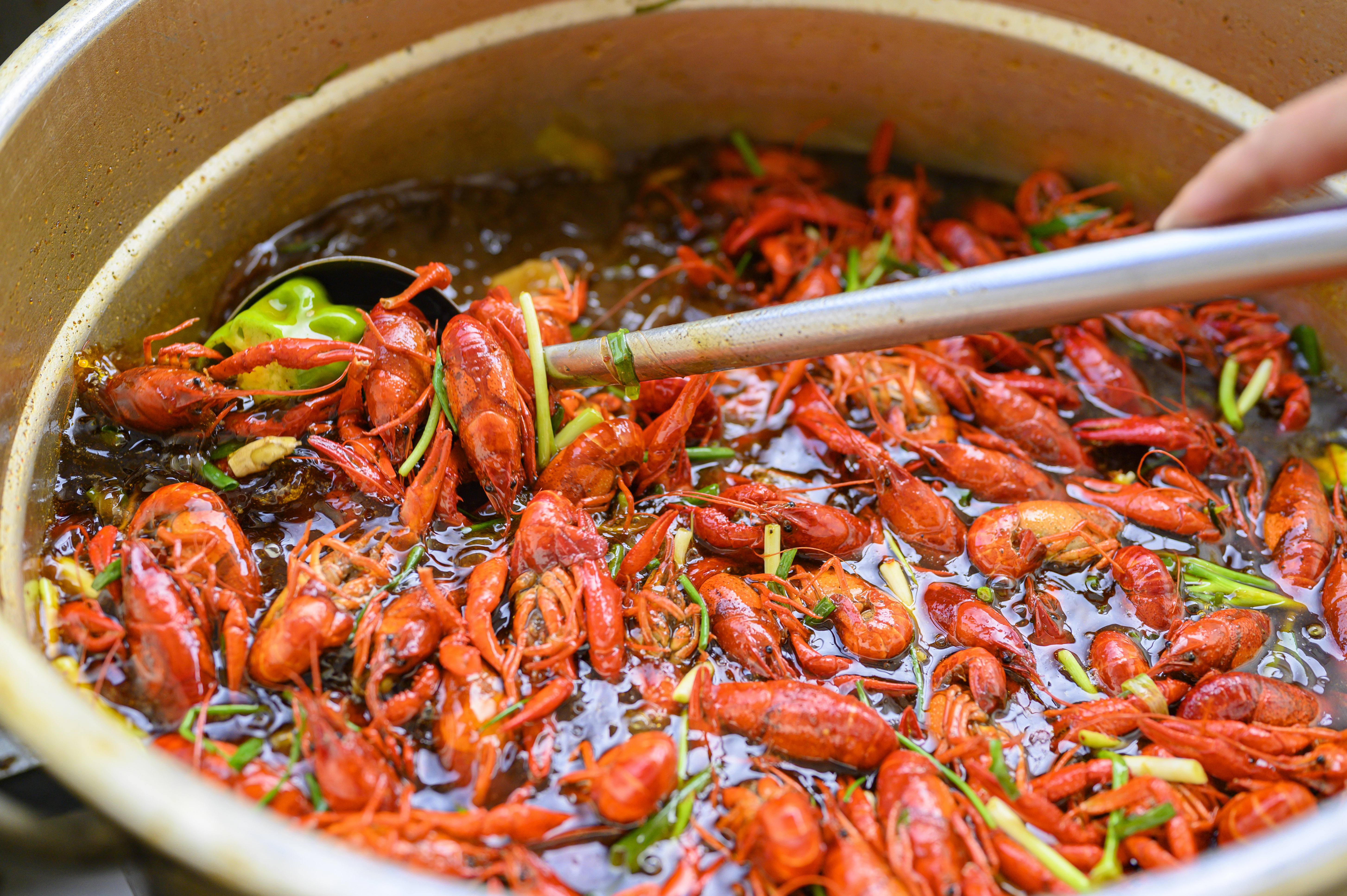 江苏金湖县小龙虾,江苏金湖小龙虾