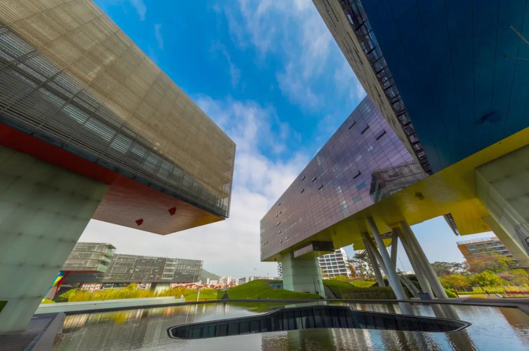 梅沙高中来了！冲击“双一流”，“爱国”为基石