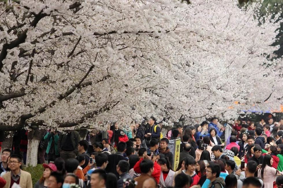 武汉九江漂流,九江三叠泉漂流视频