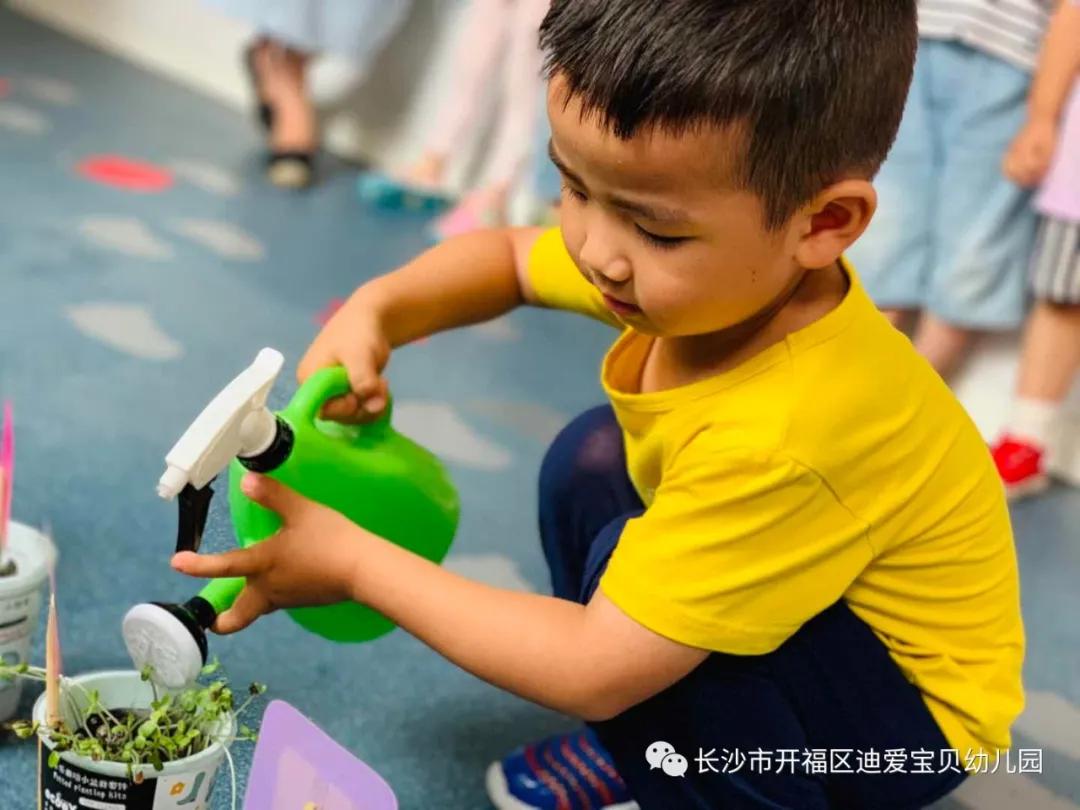 诺亚舟幼儿园,诺亚舟幼儿园里欢乐多