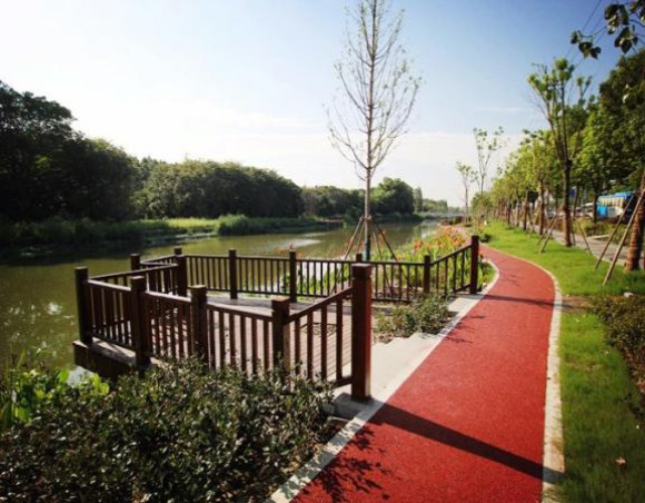 上海的黄浦江有多脏,上海的河道为什么那么臭