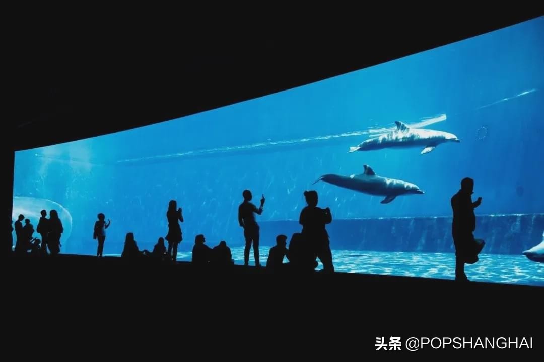 2019魔都潮人私藏网红地标全曝光,2019魔都必去50个地标