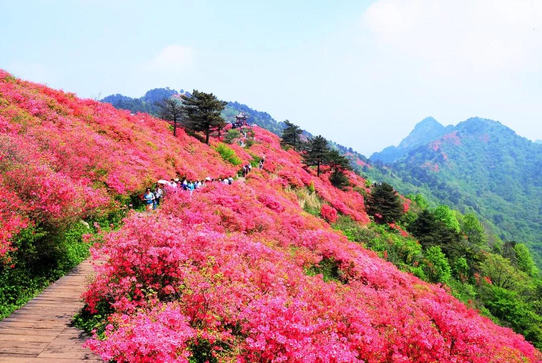 大别山马丁公路路线详细介绍,最美公路马丁公路自驾游