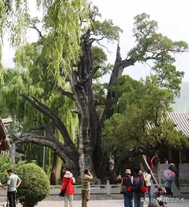 中国十大千年古寺古刹之首,中国十大千年古尸容貌复原成功