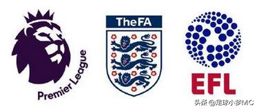 体育新星创作营评选,体育新星创作营