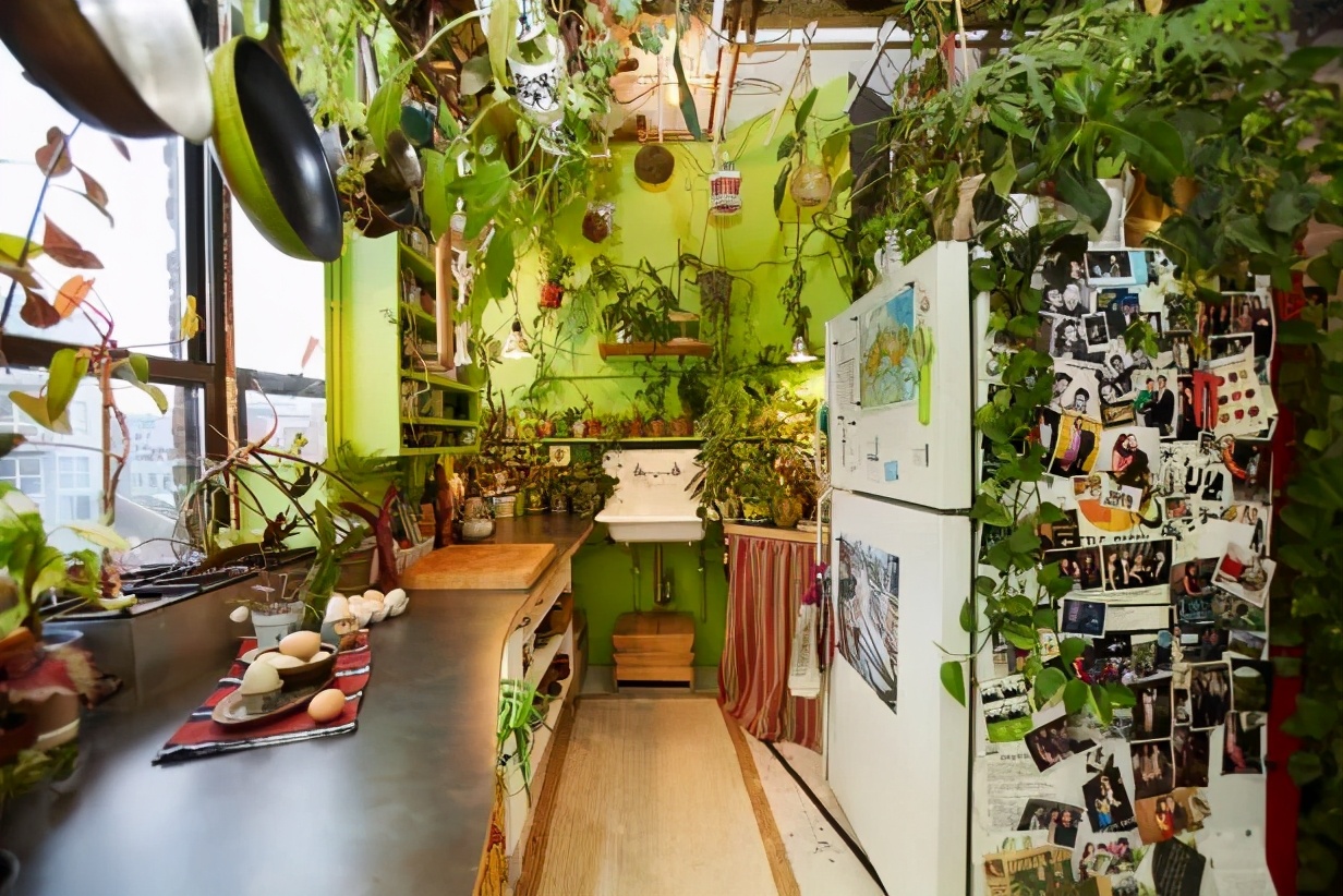 金盆洗手吧，植物杀手们