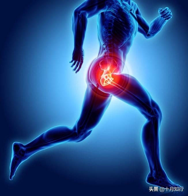 髋关节运动知识点总结大全,髋关节功能锻炼操作流程