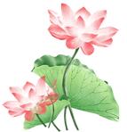 抓住五一尾巴农家乐推荐,抓住假期的小尾巴隐居民宿